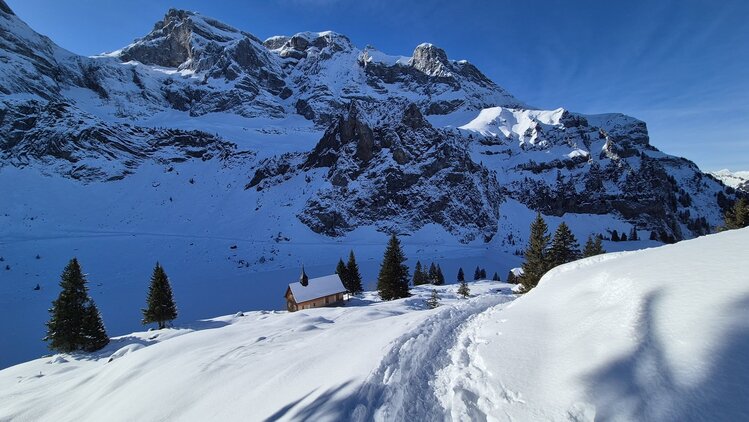 Schneeschuhlaufen