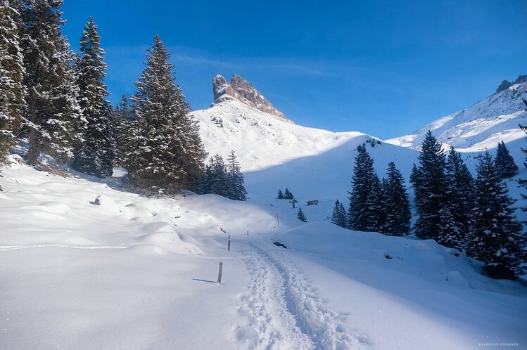 Schneeschuhlaufen