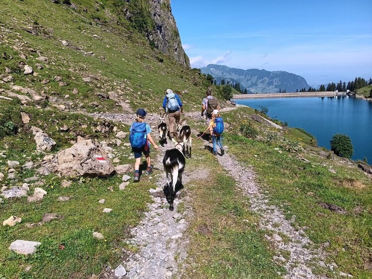 Geissenwandern